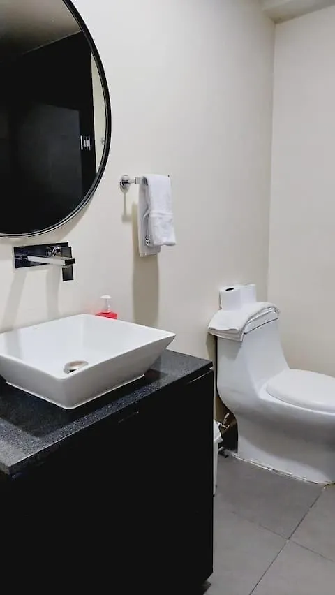 Lindo Departamento Con Terraza Privada Apartment Guadalajara Mexico